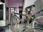 New  cycle hai