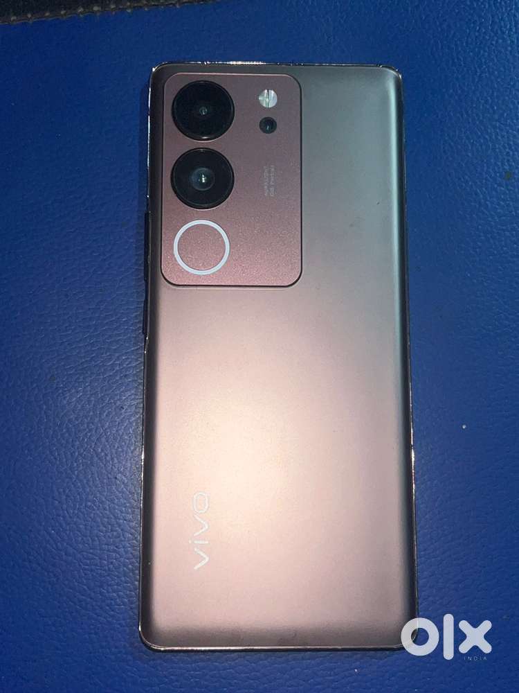 vivo…………….