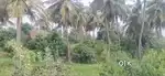 Farm Land for Sale – Kanakapura City