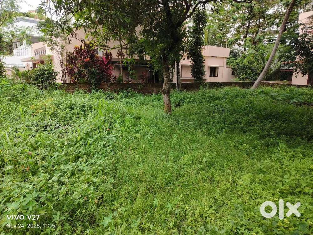 IDS-190748 Residential 10 Cent Dry Land For Sale At Kuravankonam