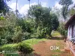 1.91-Acre Scenic Plot with House for Sale in Nadavayal Wayanad