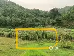 1 katha 10 lesa Myadi patta land near Accoland, Azara, Belt area