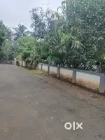 Thrissur paravattani V.N.P nagar 11.50 cent plot for sale