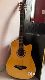 Acoustic Guitar