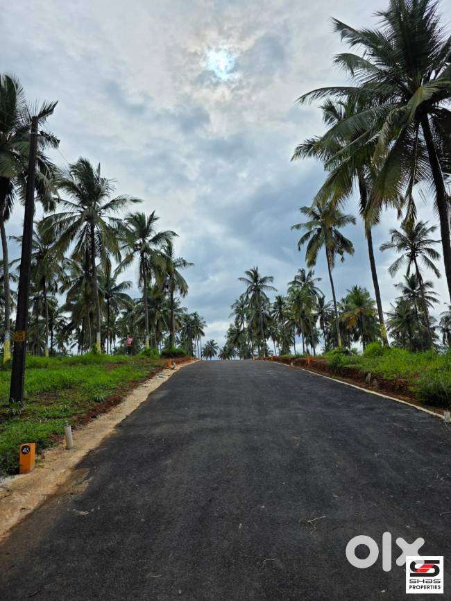 9 Cent House plot for sale in Viyyakurissi,Palakkad