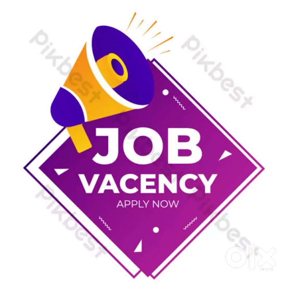 FRESHER AND EXPERIENCE