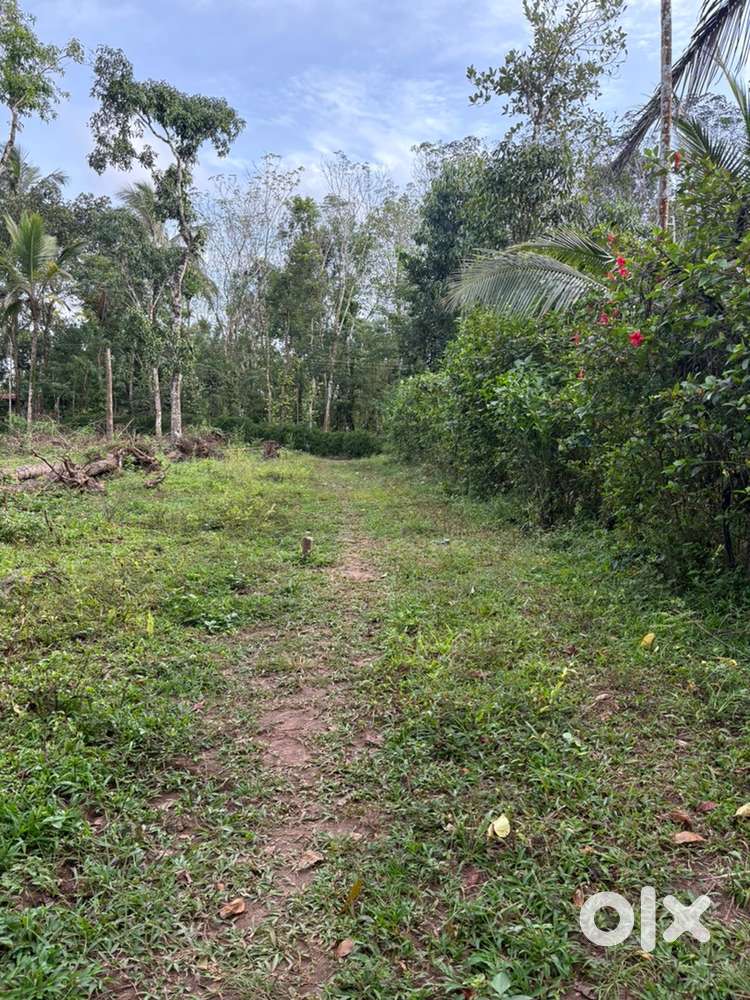 21 cent land near pulpalli boothanam highway side