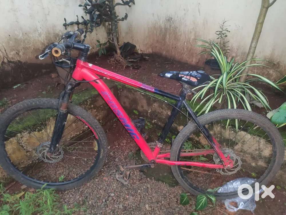 Cosmic cycle good condition