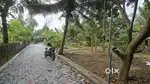Aluva paravoor kavala 5 cent, 7 cent, 8 cent house plots for sale
