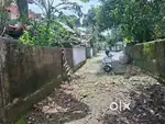 7.5 cent House plot for sale near Aluva Pulinchode