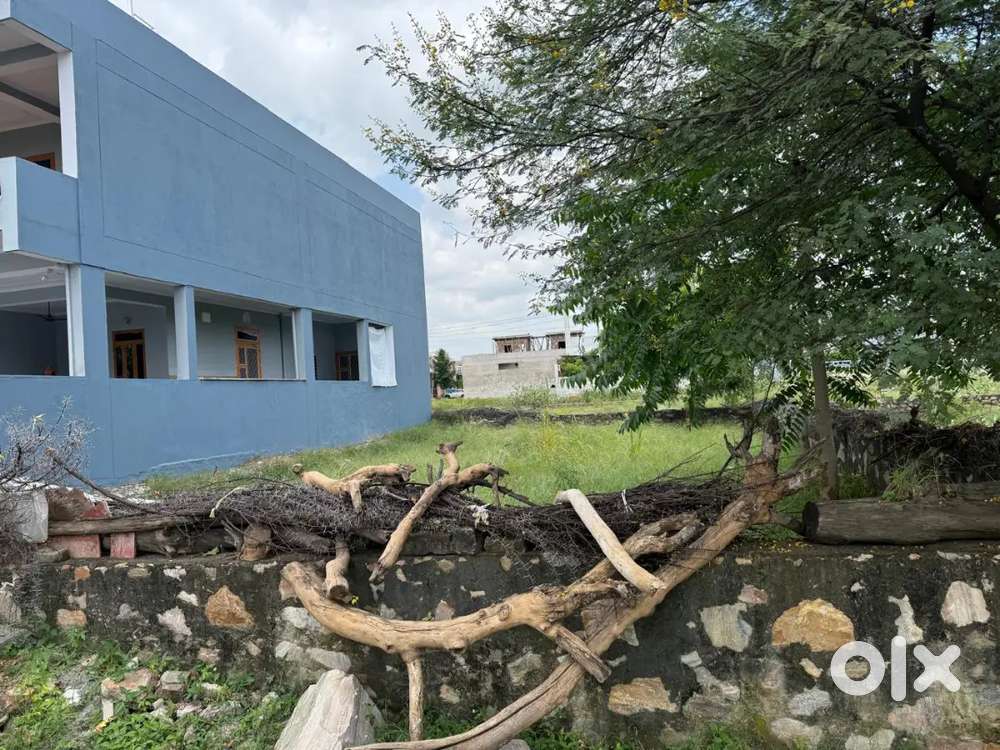 Plot for sale