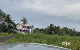 Orchard plot 1000 sqmtrs in sarzora 3 kms from dramapur  highway juncn