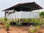 Goat farm shade n compound for sale