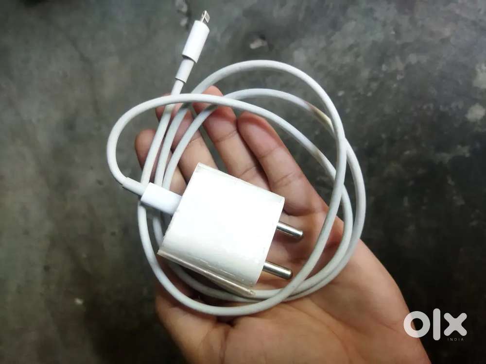 Apple Iphone charger