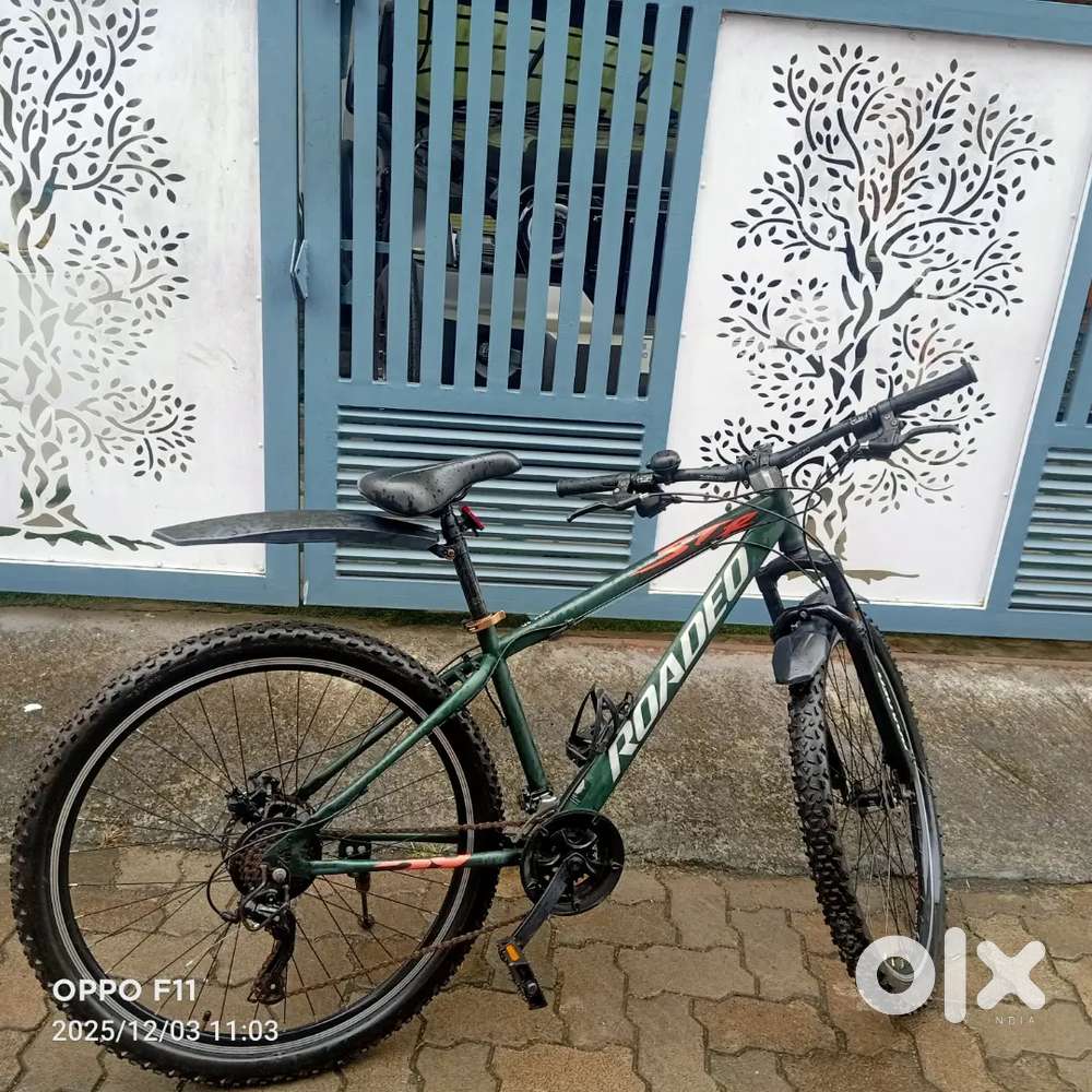 ROADEO  bycycle name