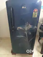 LG fridge h blue colour