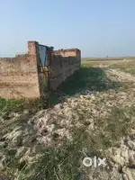 जमीन छपरा ..