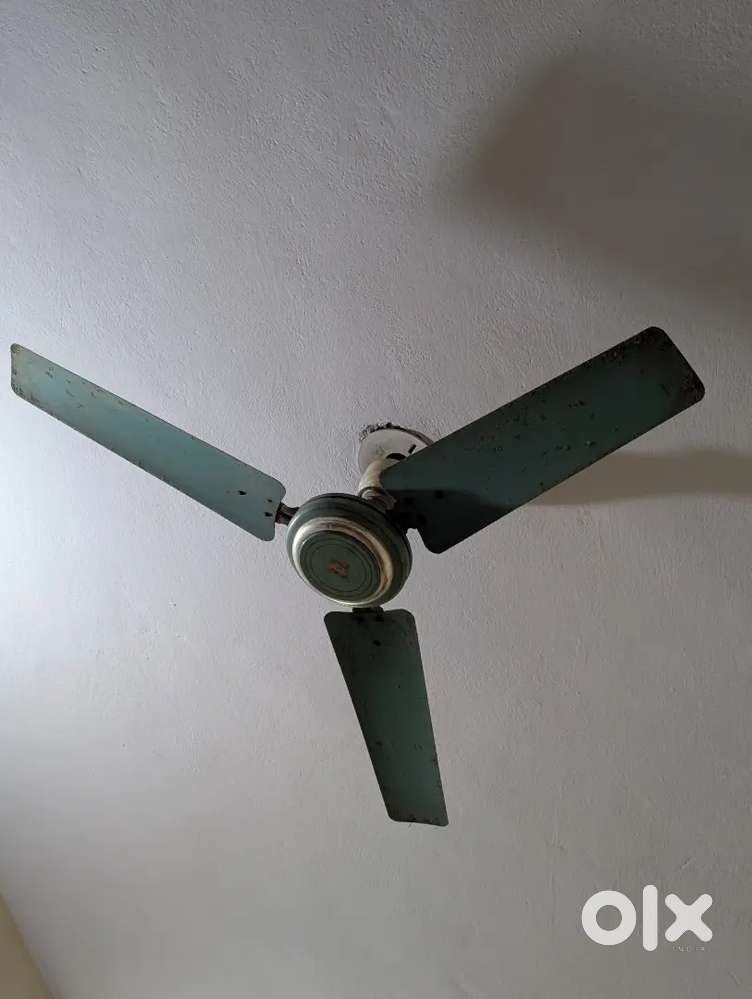 Bajaj Fan for bed room