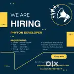 Python Developer