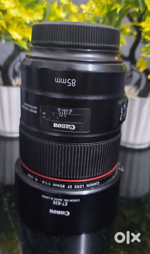 Canon EF 85mm F1.4 L IS USM