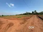 Zankhi Dholerasir nr Dholera smart city