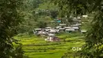 रिसॉर्ट के लिए 5 नाली जगह