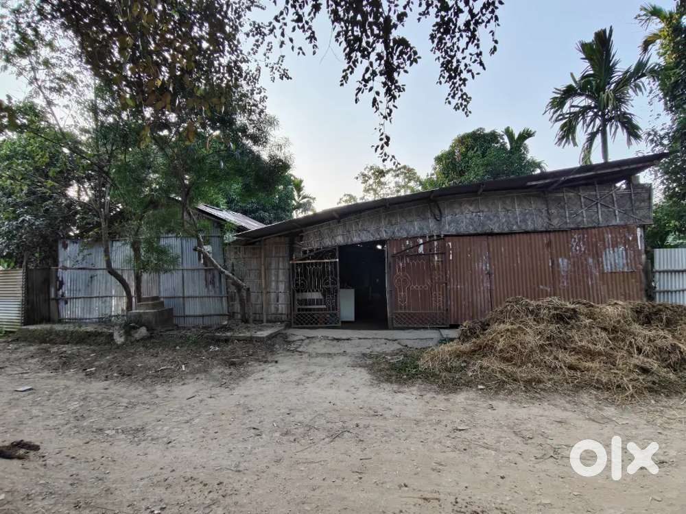 Land for sale (19 lucha maidi patta) near RTU near campus