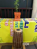 Mirudangam