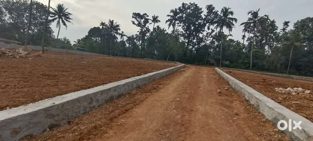 Angamaly Karayamparabu nyer 4,5,6,8, 10 cent plots available