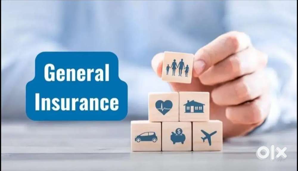 Insurance company insurance renewals