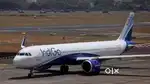 Required for Male and female candidates for indigo airlines jobs