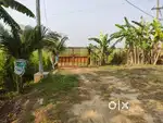 18 acres of fenced and developed farm, just 35 kms from Bhubaneswar.