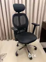 Home / Office Chair