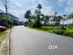 Aluva Alangad bus rout front 12cent plot cent 3.75lakh