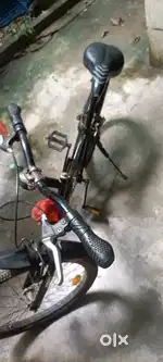 Bycycle gang