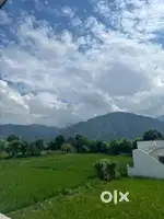 Live with nature having Lush green Mountain view and sunrise point