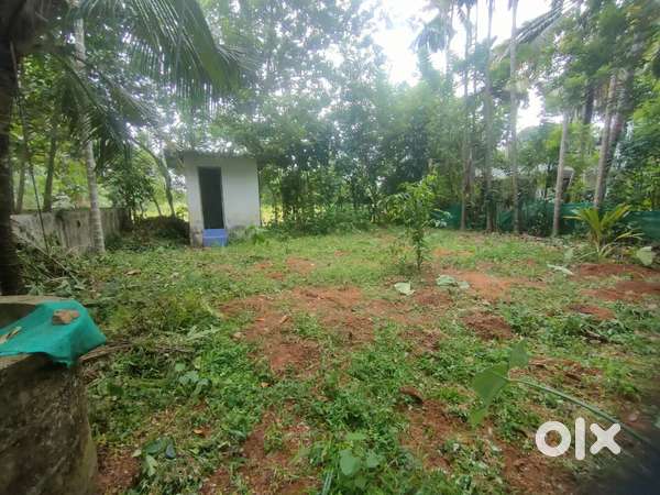 Plot and land for sale in Thalayolaparambu