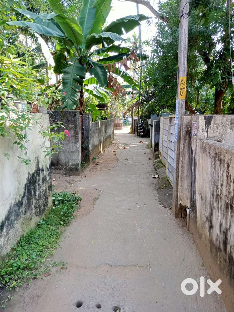 4 and 3 cent land for sale in thottam mancaud