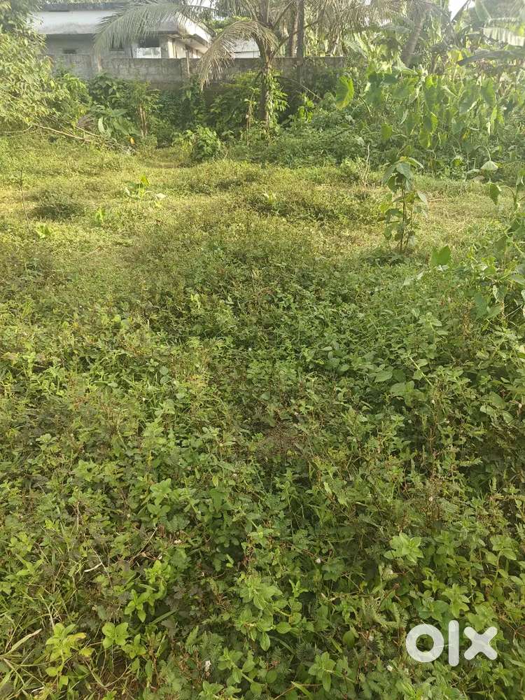 30 Cent Residential/Commercial Land for Sale at Vengola – 40 Ft Road