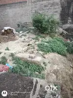 100Gaj Plot for Sale - Mansarover Park Lal Kuan Ghaziabad