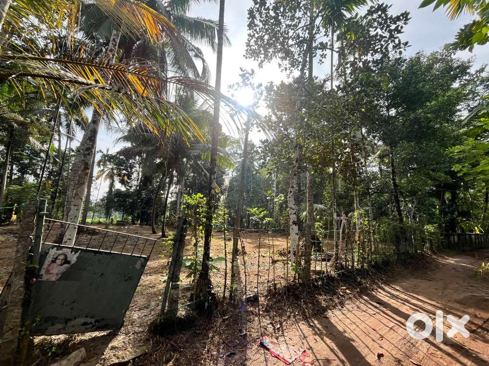 Plot for sale @ chingoli