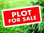 Plot available 100yd, 125yd 135yd, gated society zirakpur