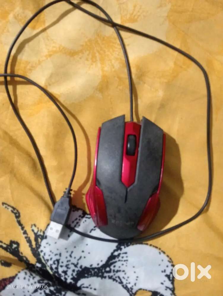 It is zebion mouse