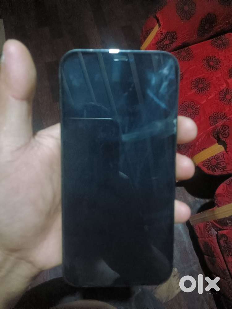 iphone 12 pro max / 256GB