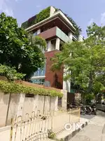 Sasta plot