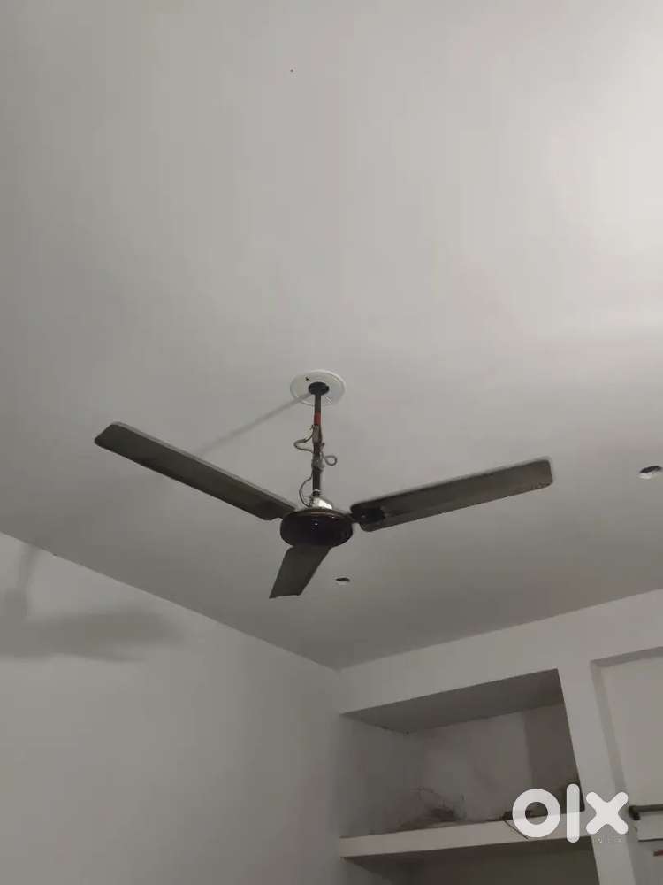 Celling Fan