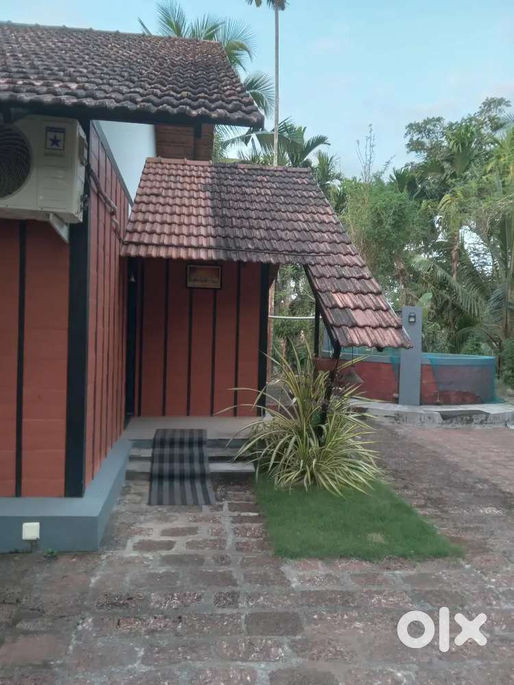 Agricultural land with tyni house