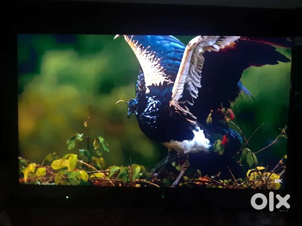 Sony Bravia 32 LED  full hd TV