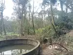 2.5 Acre Converted Land for Sale – Mudigere