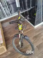Vivid stark maxima bicycle